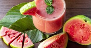Manfaat Jambu Biji untuk Kesehatan