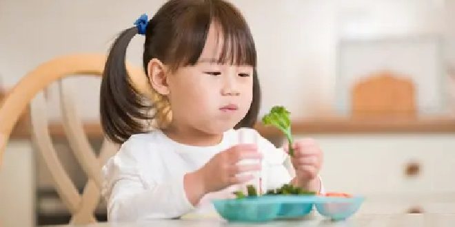 Cara Memilih Makanan Bayi yang Sehat dan Bergizi